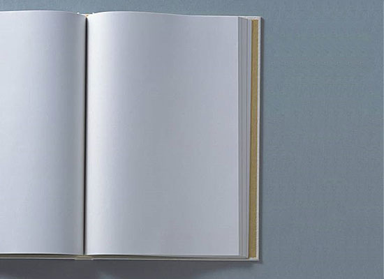 Книга «О чём мужчины думают помимо секса» состоит из двухсот пустых страниц