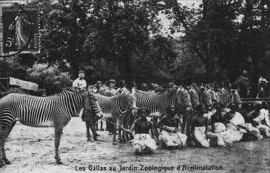 В конце 19 – начале 20 века в Европе были очень популярны человеческие зоопарки