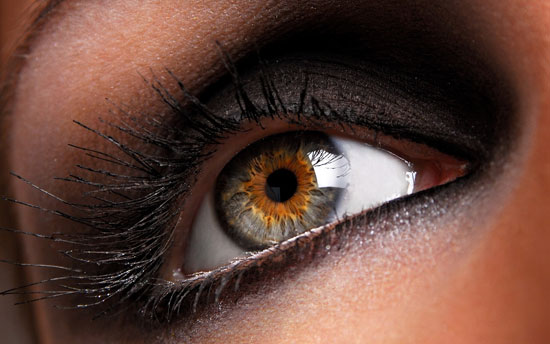 There is a “blind spot” in our eyes &#8211; a place insensitive to the light. Check for yourself!