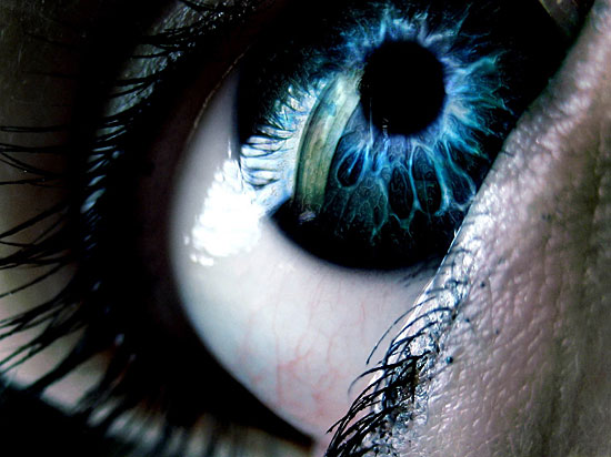 23 факта о глазах и зрении