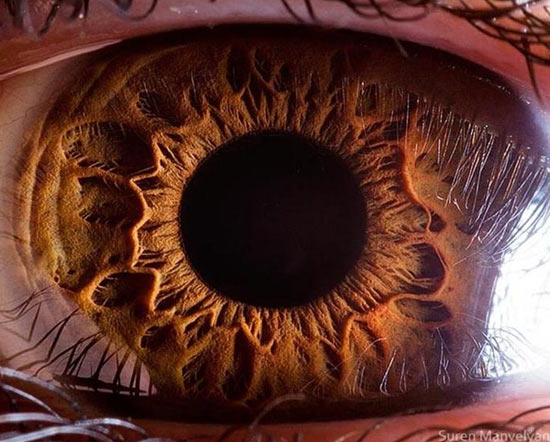 Человеческий глаз способен видеть предметы, находящиеся на любом расстоянии