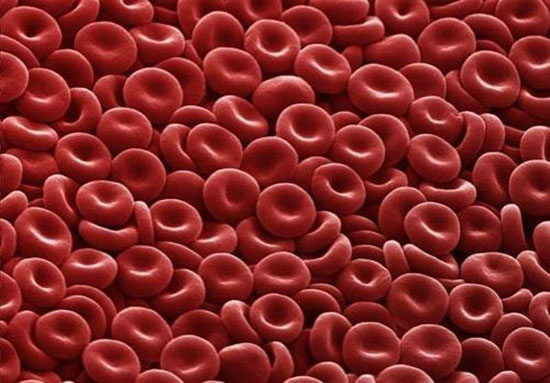 Кровяная химера — это человек, обладающий двумя разными группами крови 