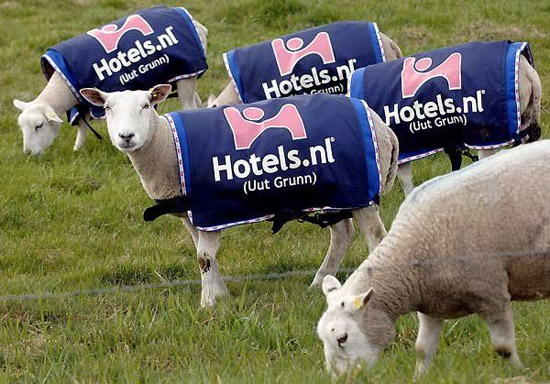 Английский фермер сделал из своих овец рекламный носитель