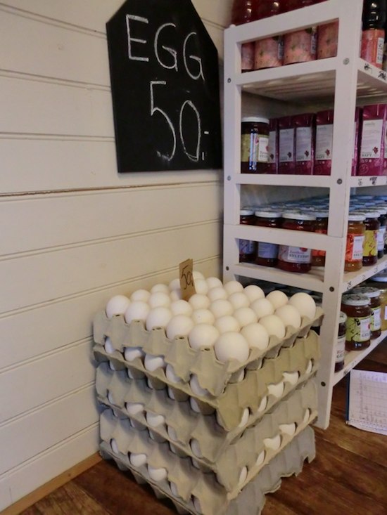 В Норвегии есть магазины без продавцов, в которых покупатели обслуживают себя сами