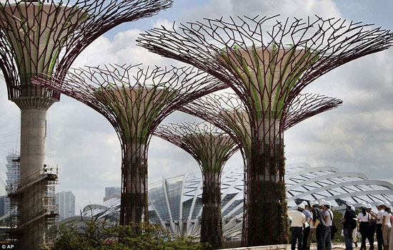 В Сингапуре «растут» гигантские искусственные деревья