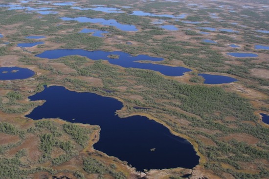 В Сибири находится самое большое на Земле болото площадью 53 000 кв. км