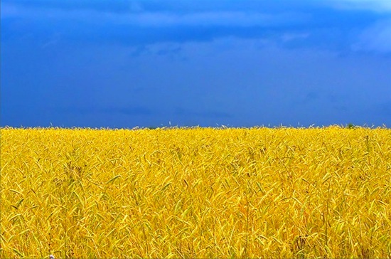 20 фактов об Украине