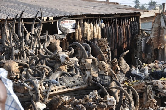 В Того есть крупнейший в мире рынок для колдунов вуду 