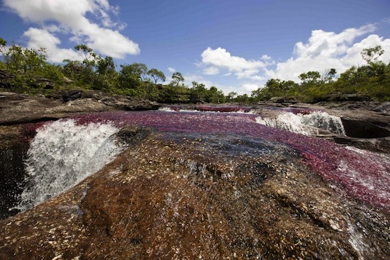 Самая красивая река в мире — это «река пяти цветов» Каньо Кристалес