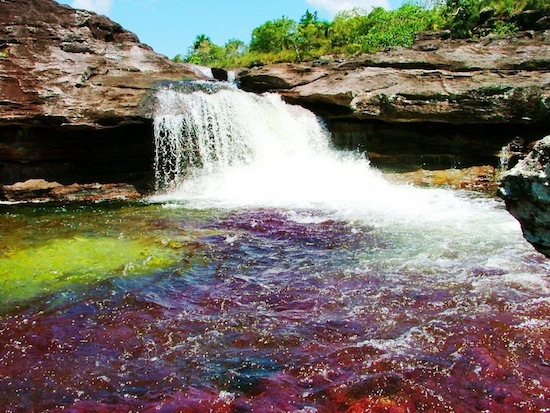 Самая красивая река в мире — это «река пяти цветов» Каньо Кристалес