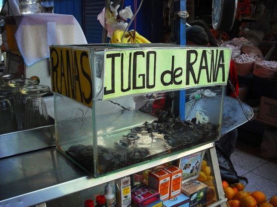 В Перу продаётся сок из лягушек