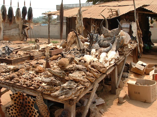 Lomé Voodoo Market — медицинская лавка