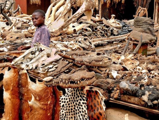 Lomé Voodoo Market — медицинская лавка