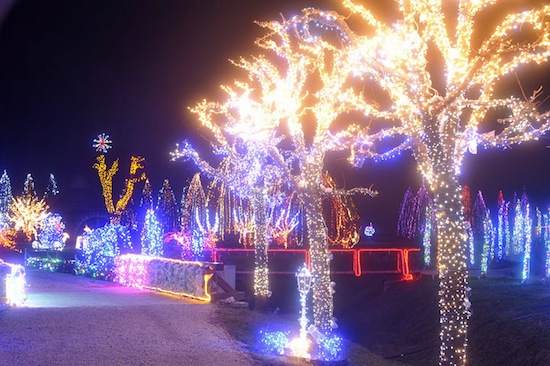В Хорватии есть сияющая «рождественская сказка»