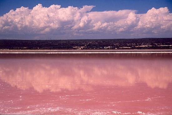 В Австралии есть розовое озеро