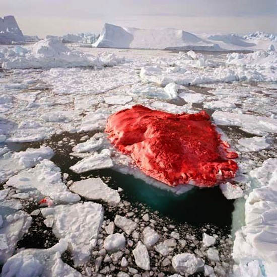 Возле Гренландии есть ярко-красный айсберг, покрашенный художником
