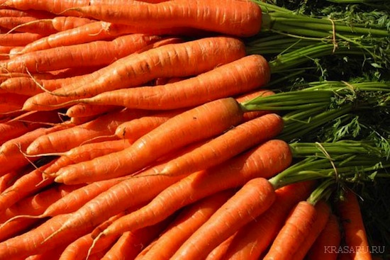Морковь может вызывать зависимость