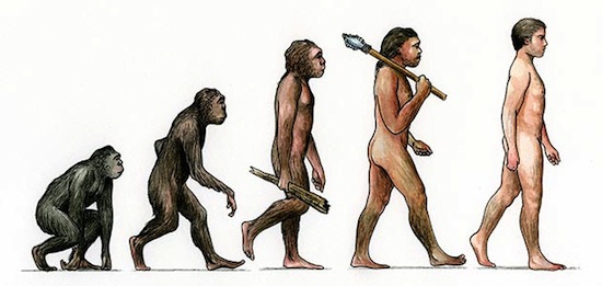 15 главных заблуждений об эволюции
