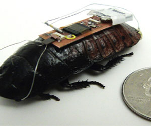 Ученые создали тараканов-киборгов