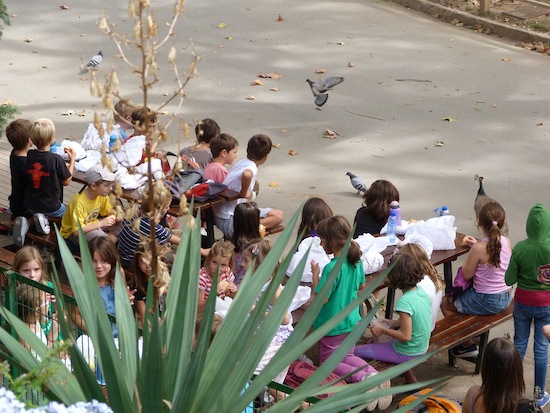Барселона глазами Фактрума: 10 фактов о барселонском зоопарке