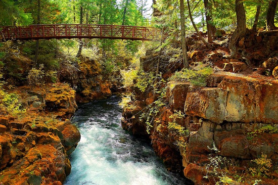 Река Рог в Орегоне — единственная в мире река, в которой растут подводные грибы