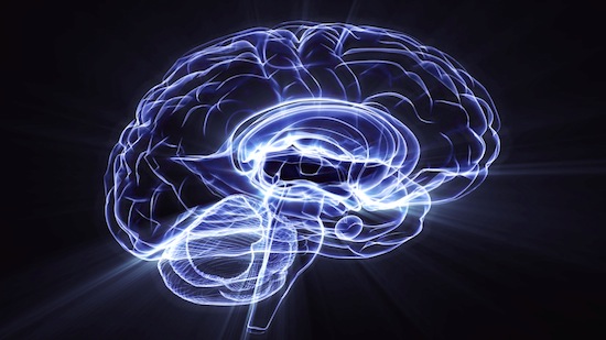 10 самых свежих исследований человеческого мозга