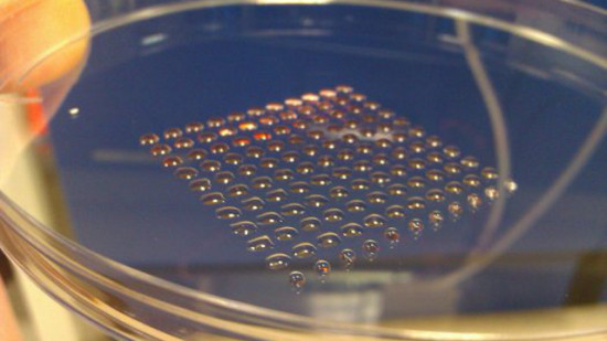 Человеческие эмбриональные стволовые клетки можно печатать на 3D-принтере
