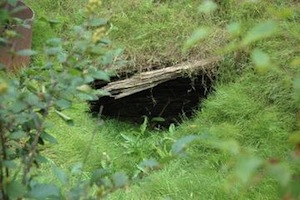 В Новой Шотландии есть таинственные искусственные ямы, и до сих пор неизвестно, что же у них на дне