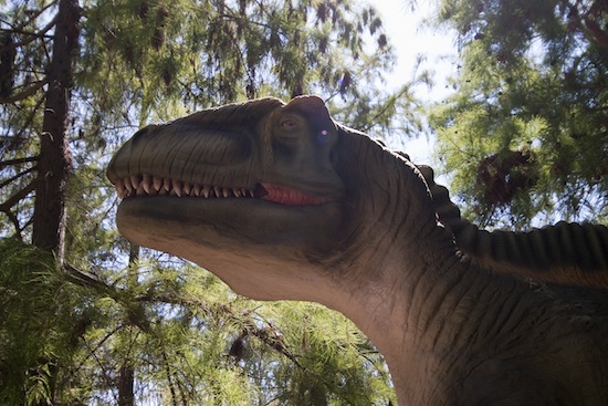 На динозаврах водились гигантские блохи