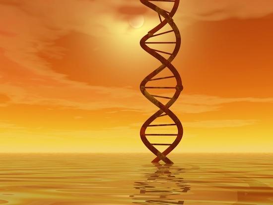 Солнечные лучи могут разрушать ДНК
