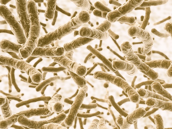 5 интересных фактов о микробах, живущих внутри вас