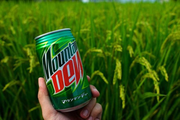 Напиток «Mountain Dew» изначально был придуман, чтобы смешивать его с виски