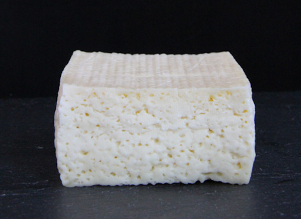 Учёные создали сыр на закваске из бактерий с человеческих ног, пупка и подмышек