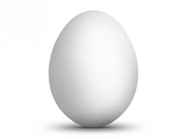 Единственный существующий в природе предмет яйцеобразной формы — это яйцо