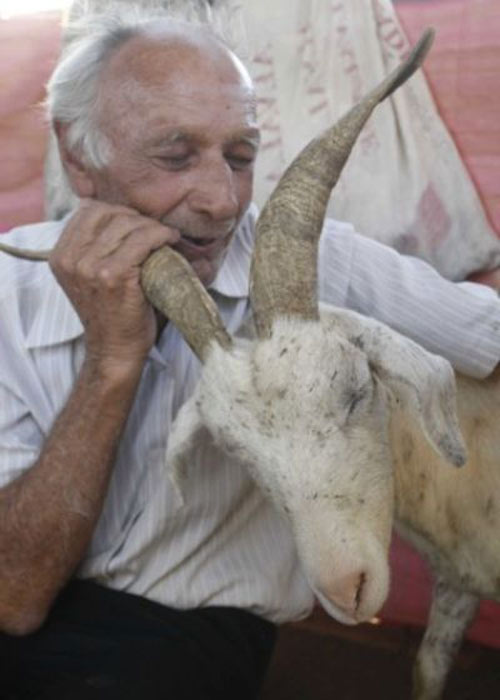 Бразилец обвенчался с любимой козой в Церкви Дьявола