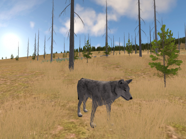 WolfQuest