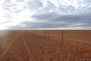 Читайте также: «В Австралии есть самый длинный в мире забор»