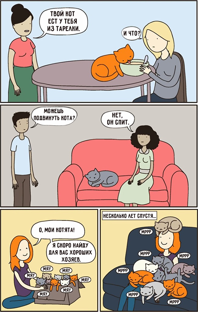 15 комиксов, которые поймут все владельцы кошек