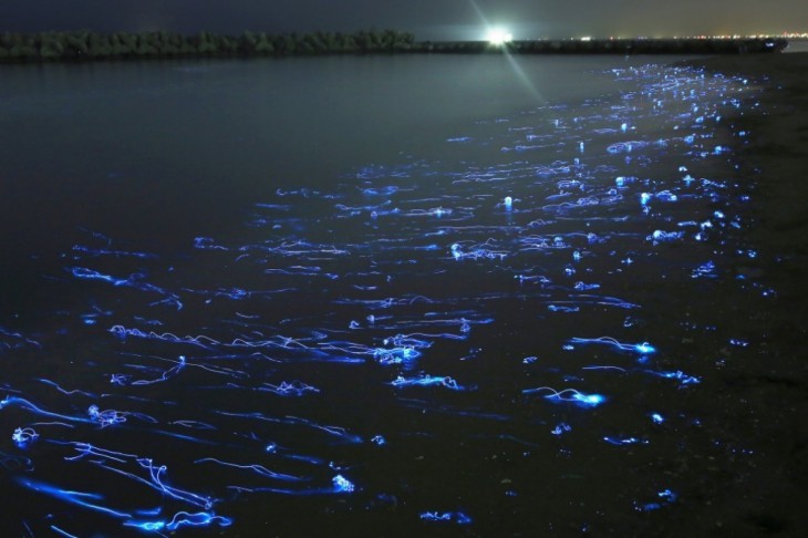 © Takehito Miyatake