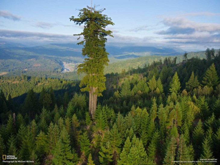 © Natopnal Geographic