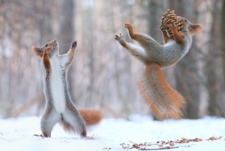 © Вадим Трунов