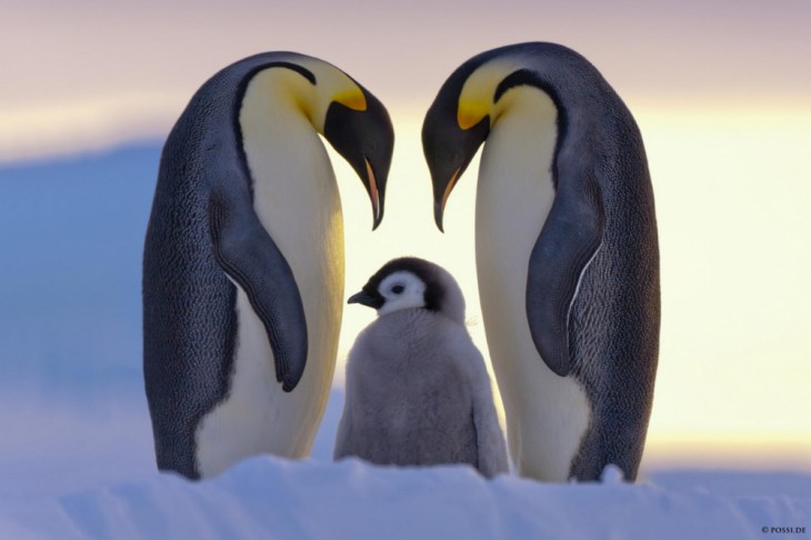 © Anneliese & Claus Possberg