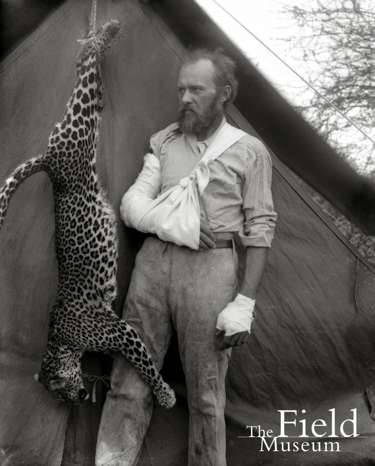 Carl Ethan Akeley