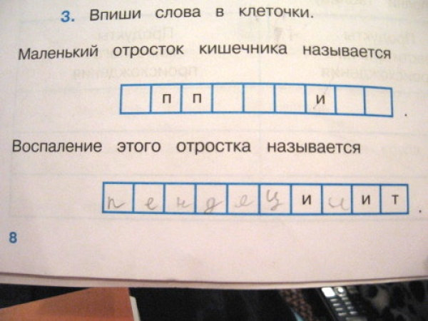 20 гениальных ответов детей на контрольных работах