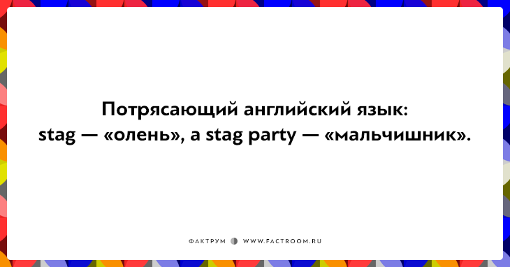 14 саркастичных острот на тему трудностей перевода