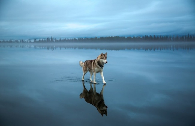 20 поразительных фотографий, нарушающих законы физики