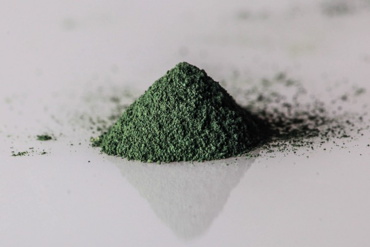 All-spirulina.ru