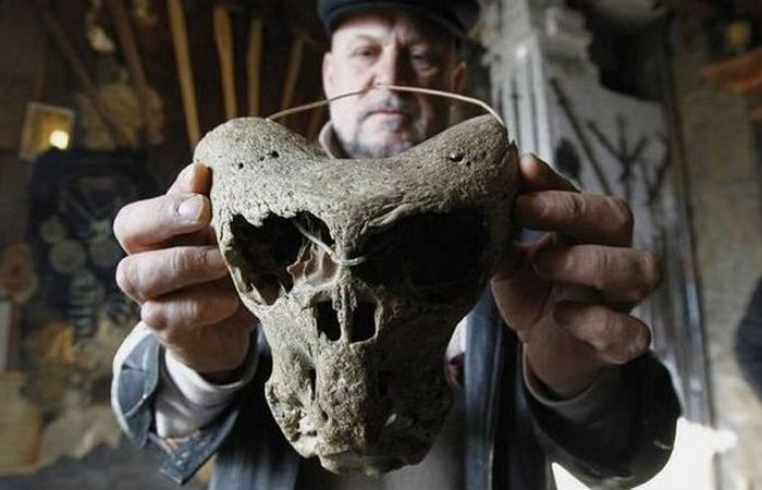 Обладатели черепов похожи ни на одно известное человеку существо