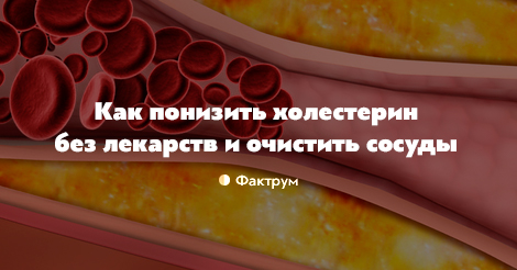 понизить холестерин без статинов понизить холестерин без статинов