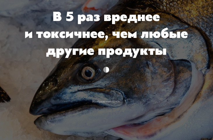 2019 год - Токсиколог: Норвежский лосось — самая токсичная еда во всём мире 2019 год